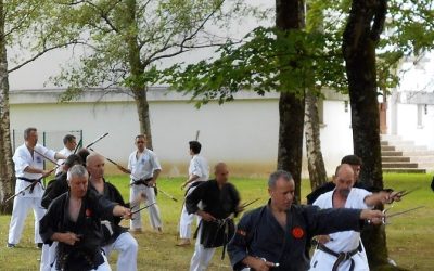 L&rsquo;histoire du Karaté